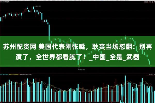 苏州配资网 美国代表刚张嘴，耿爽当场怼翻：别再演了，全世界都看腻了！_中国_全是_武器