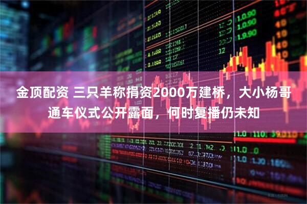 金顶配资 三只羊称捐资2000万建桥，大小杨哥通车仪式公开露面，何时复播仍未知