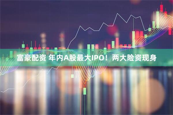 富豪配资 年内A股最大IPO！两大险资现身