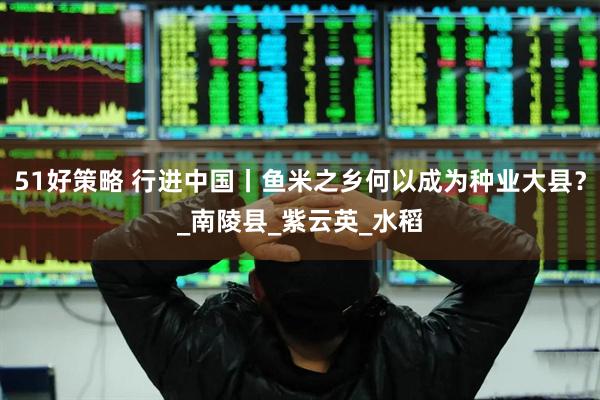 51好策略 行进中国丨鱼米之乡何以成为种业大县？_南陵县_紫云英_水稻