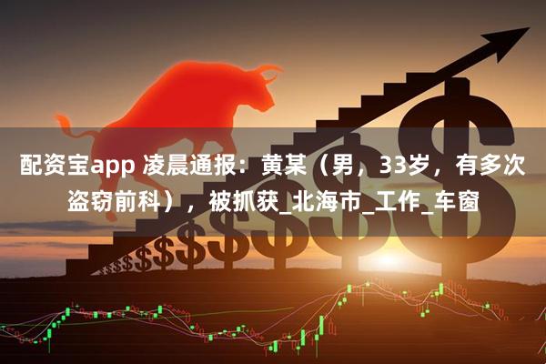 配资宝app 凌晨通报：黄某（男，33岁，有多次盗窃前科），被抓获_北海市_工作_车窗